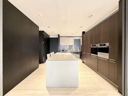 TwentyOne Angullia Park (D9), Condominium #560446471